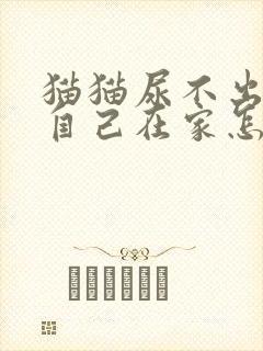 猫猫尿不出尿,自己在家怎么能缓解