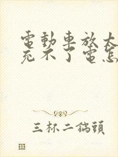 电动车放太久了充不了电怎么办