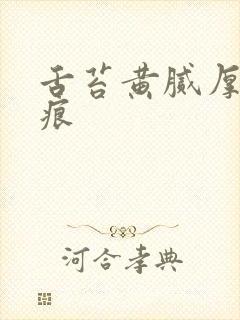 舌苔黄腻厚有齿痕