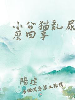 小公猫乱尿是怎么回事