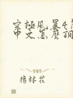 究极风暴4简体中文怎么调