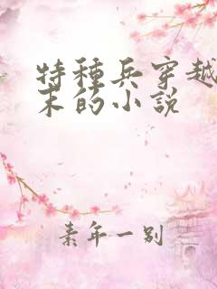 特种兵穿越到明末的小说