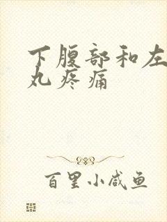 下腹部和左侧睾丸疼痛