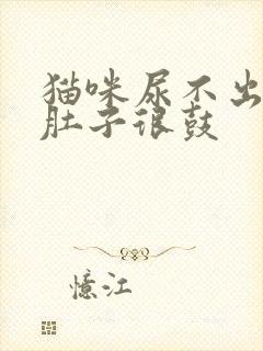 猫咪尿不出来 肚子很鼓