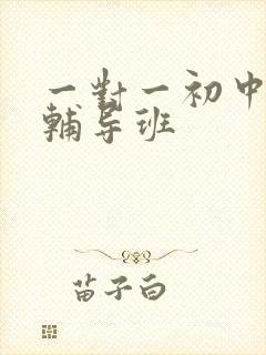 一对一初中历史辅导班