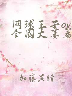 网球王子ova全国大赛篇