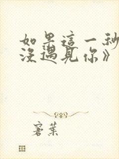 如果这一秒,我没遇见你》