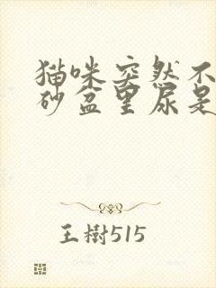 猫咪突然不在猫砂盆里尿是什么原因