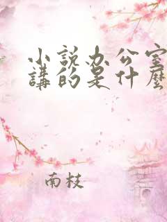 小说办公室隐婚讲的是什么