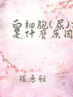 白细胞(尿)高是什么原因