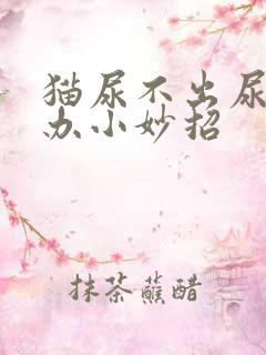 猫尿不出尿怎么办小妙招