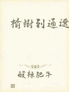 榆树到通辽客车