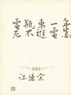 电瓶车一年没骑充不进电怎么办