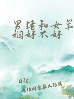 男猪和女羊配婚姻好不好