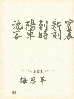 沈阳到新宾县的客车时刻表