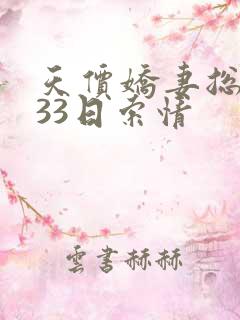 天价娇妻总裁的33日索情