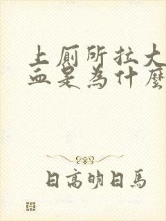 上厕所拉大便出血是为什么