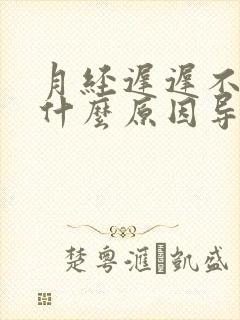 月经迟迟不来是什么原因导致