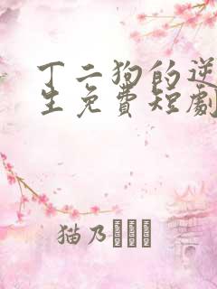 丁二狗的逆袭人生免费短剧