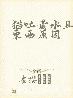 猫吐黄水且不吃东西原因