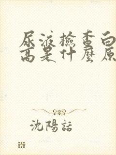 尿液检查白细胞高是什么原因