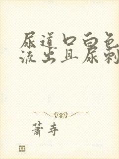 尿道口白色液体流出且尿刺痛