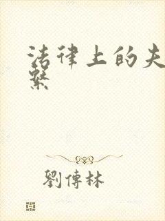 法律上的夫妻关系