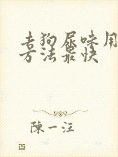 去狗尿味用什么方法最快