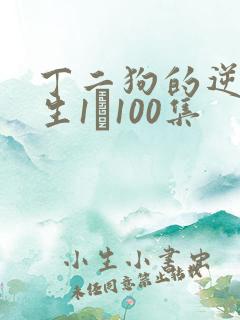 丁二狗的逆袭人生1–100集