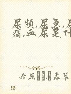 尿频,尿急,尿痛,血尿是什么原因