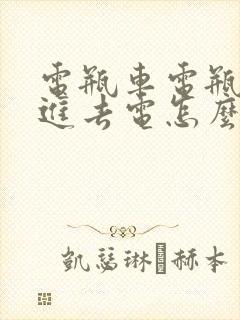 电瓶车电瓶充不进去电怎么回事