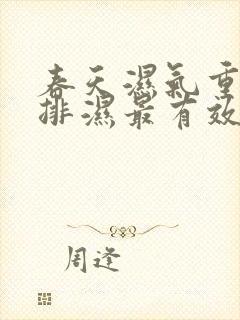 春天湿气重怎么排湿最有效