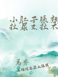 小肚子胀想拉屎拉尿又拉不出来