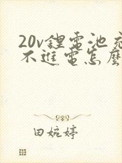 20v锂电池充不进电怎么修复