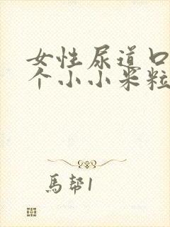 女性尿道口上长个小小米粒是怎么回事