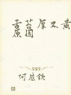 舌苔厚又黄什么原因