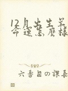 12月出生羊人命运怎么样