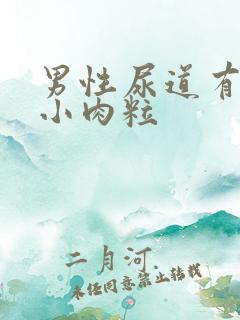 男性尿道有两个小肉粒