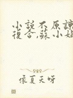 小说不原谅,不复合,苏小姐独美txt