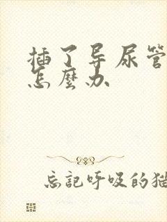 插了导尿管漏尿怎么办