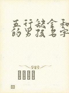 五行缺金和缺土的男孩名字