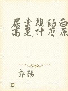 尿常规的白细胞高是什么原因