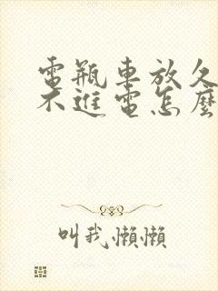 电瓶车放久了充不进电怎么回事