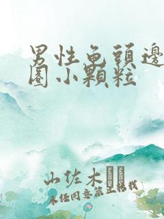 男性龟头边缘一圈小颗粒