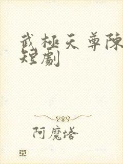 武极天尊陈天极短剧