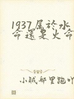 1937属于水命还是火命