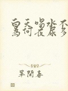 白天喝水不多,为何夜尿多呢?