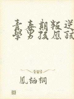 青春期叛逆不上学男孩应该怎么办