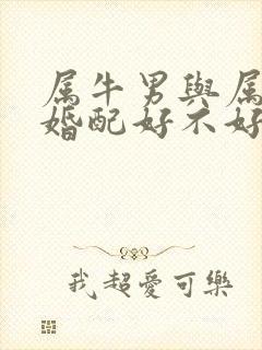 属牛男与属牛女婚配好不好