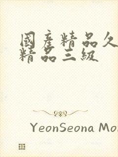 国产精品久久久精品三级